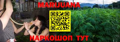 индика Рыбинск