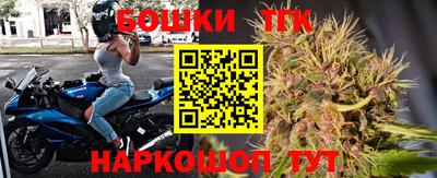 индика Рыбинск