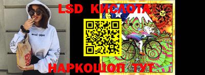 индика Рыбинск