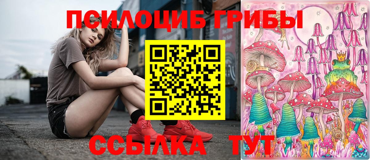 Галлюциногенные грибы Cubensis Петропавловск-Камчатский