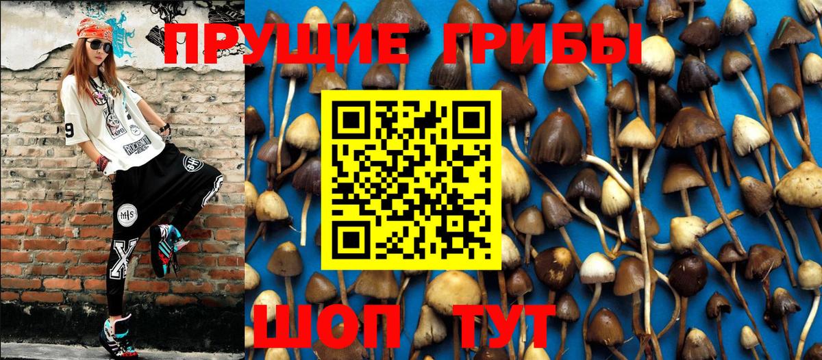 Галлюциногенные грибы прущие грибы  Вход с VPN  Галлюциногенные грибы Magic Shrooms  Петропавловск-Камчатский 